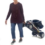 BuzzCarryOn GB120 9 Golden Technologies