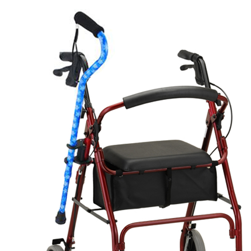 cane holder