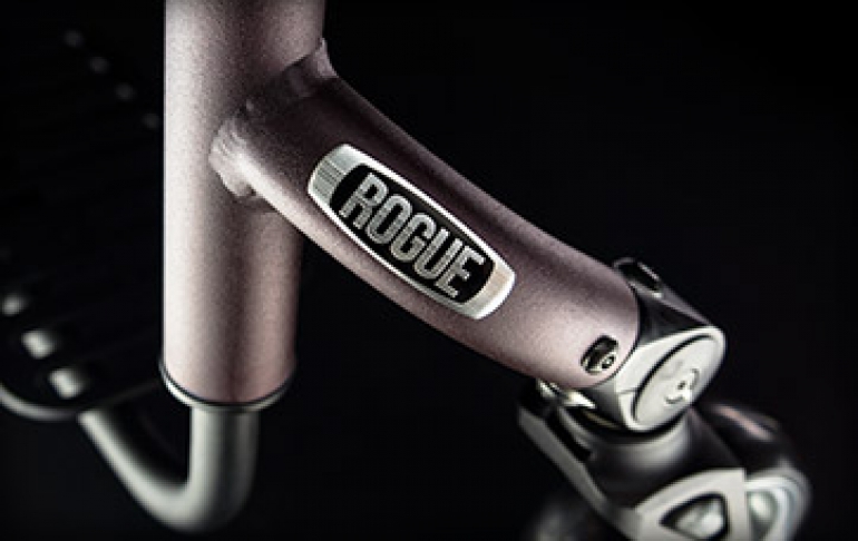 Custom lightweight wheelchair Rogue 10